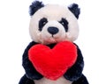 Panda bear stuffed plush toy with red fluffy heart isolated on white Royalty Free Stock Photo