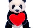 Panda bear stuffed plush toy with red fluffy heart isolated on white