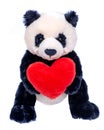 Panda bear stuffed plush toy with red fluffy heart isolated on white Royalty Free Stock Photo