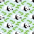 Panda bear vector background.