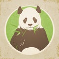 Panda Bear