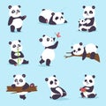 Panda bear vector set.