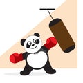 Panda boxer hits a punching bag.