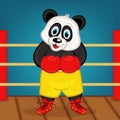 Panda boxer on ring