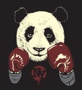 Panda in boxing gloves, hand drawn bear