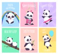 Panda cards. Cute little bear animals cover placard vector templates collection