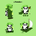 Panda character with green bamboo vector illustration set. Royalty Free Stock Photo