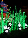 Panda chinese lights