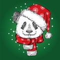 Panda Christmas hat and scarf. Vector illustration for greeting card, poster, or print on clothes. Christmas and New Year.