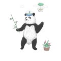 Panda clip art bear black panda captain drawing animal illustration on white background cute animal on white background