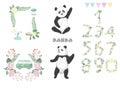 Panda clip art drawing animal illustration on white background cute animal celebration card