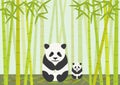 Panda And Cub Eating Bamboo