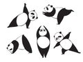 Panda in different joga pose. Black and white vector illustration. Simple bear who does exercises Royalty Free Stock Photo