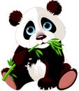 Panda eating bamboo Royalty Free Stock Photo