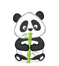 Panda eating bamboo