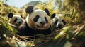 Panda eating leaves in evergreen forest. Generative AI Royalty Free Stock Photo