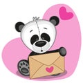 Panda with envelope Royalty Free Stock Photo