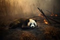 panda exhausted in the midst of wildfires and smoke. Wildlife Animals. Illustration. Generative AI