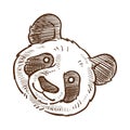 Panda face closeup monochrome sketch outline vector illustration