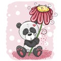Panda with flower Royalty Free Stock Photo