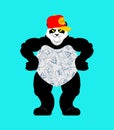 Panda gangster and bandit. Cool Bear. SWAG gangsta. Animal guy rapper