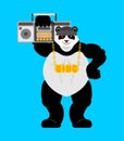 Panda gangster and bandit. Cool Bear. SWAG gangsta. Animal guy rapper