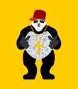 Panda gangster and bandit. Cool Bear. SWAG gangsta. Animal guy rapper