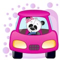 Panda girl in a car Royalty Free Stock Photo