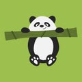 Panda hangs on a branch of bamboo Royalty Free Stock Photo
