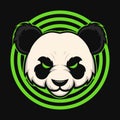 Panda head logo. Mascot design. Vector illustration Royalty Free Stock Photo