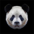 Panda head polygon portrait