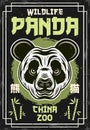 Panda head vintage colored poster for china zoo vector decorative illustration. Layered, separate grunge textures and