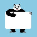 Panda holding banner blank. Chinese bear and white blank. Animal Royalty Free Stock Photo