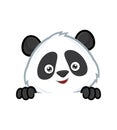 Panda holding and looking over a blank sign board Royalty Free Stock Photo