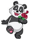 Panda Holding Red Rose Color Illustration Design