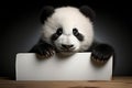 Panda holds sizable blank poster ready for creative storytelling