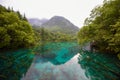 Panda lake of Jiuzhai Valley National Park