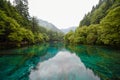 Panda lake of Jiuzhai Valley National Park