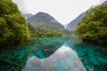 Panda lake of Jiuzhai Valley National Park