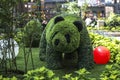 Panda made by plants