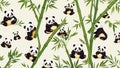 Panda on a Natural Color Isolated Background Royalty Free Stock Photo