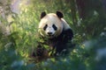 panda nestled among a vibrant watercolor bamboo forest. soft, pastel colors for the bamboo stalks and leaves