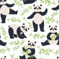 Panda pattern. Cute pandas with bamboo leaves. Cartoon happy asian bear characters animal child fabric print seamless