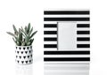 Panda plant and stylish striped picture frame