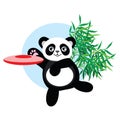 Panda plays flying disc.