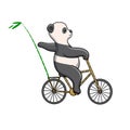 Panda riding a bicycle recyclable