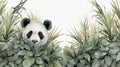 Panda\'s Haven: A Majestic Encounter in the Bamboo Forest