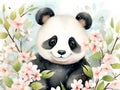 Panda and sakura in blossom illustration. Panda illustration collection for children book. Kids book colorful illustrations with