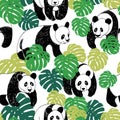 Panda seamless pattern in sketch style. Hand drawing panda pattern illustration with monstera leaves, vector. Cute Royalty Free Stock Photo