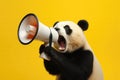 Panda Shouting Through Megaphone On Yellow Background Royalty Free Stock Photo